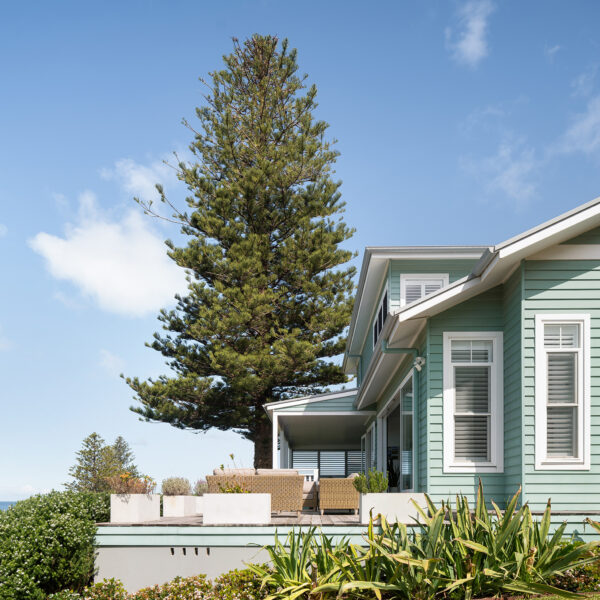 Angled front elevation of the Wombarra No. 3 home by Simpson & Co Projects, with green weatherboards, white trims, gabled roofline and a tall Norfolk pine.