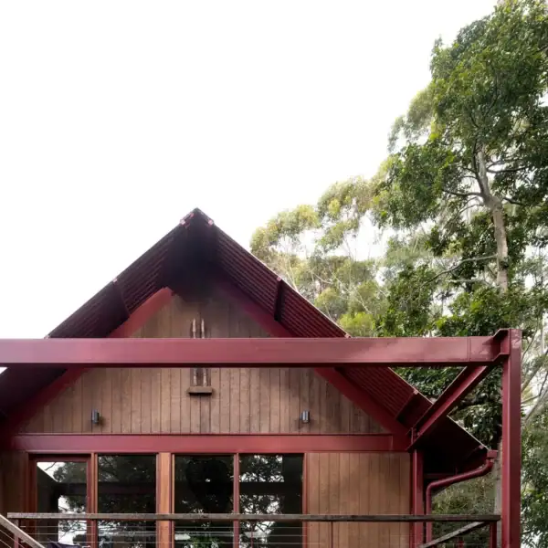steep pitch gable roofline with Weathertex cladding and native forest backdrop
