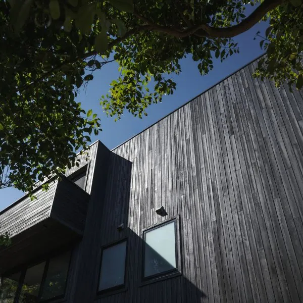 Coastal custom home in Stanwell Park with vertical timber cladding viewed through trees