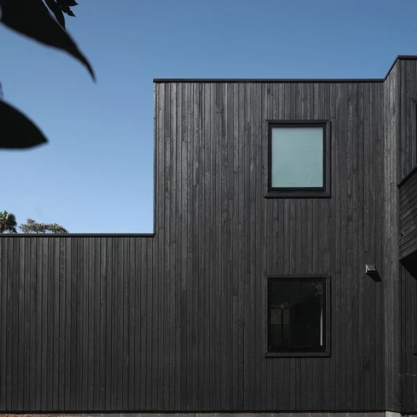 Side elevation of coastal custom home in Stanwell Park with vertical timber cladding and minimalist architectural design.